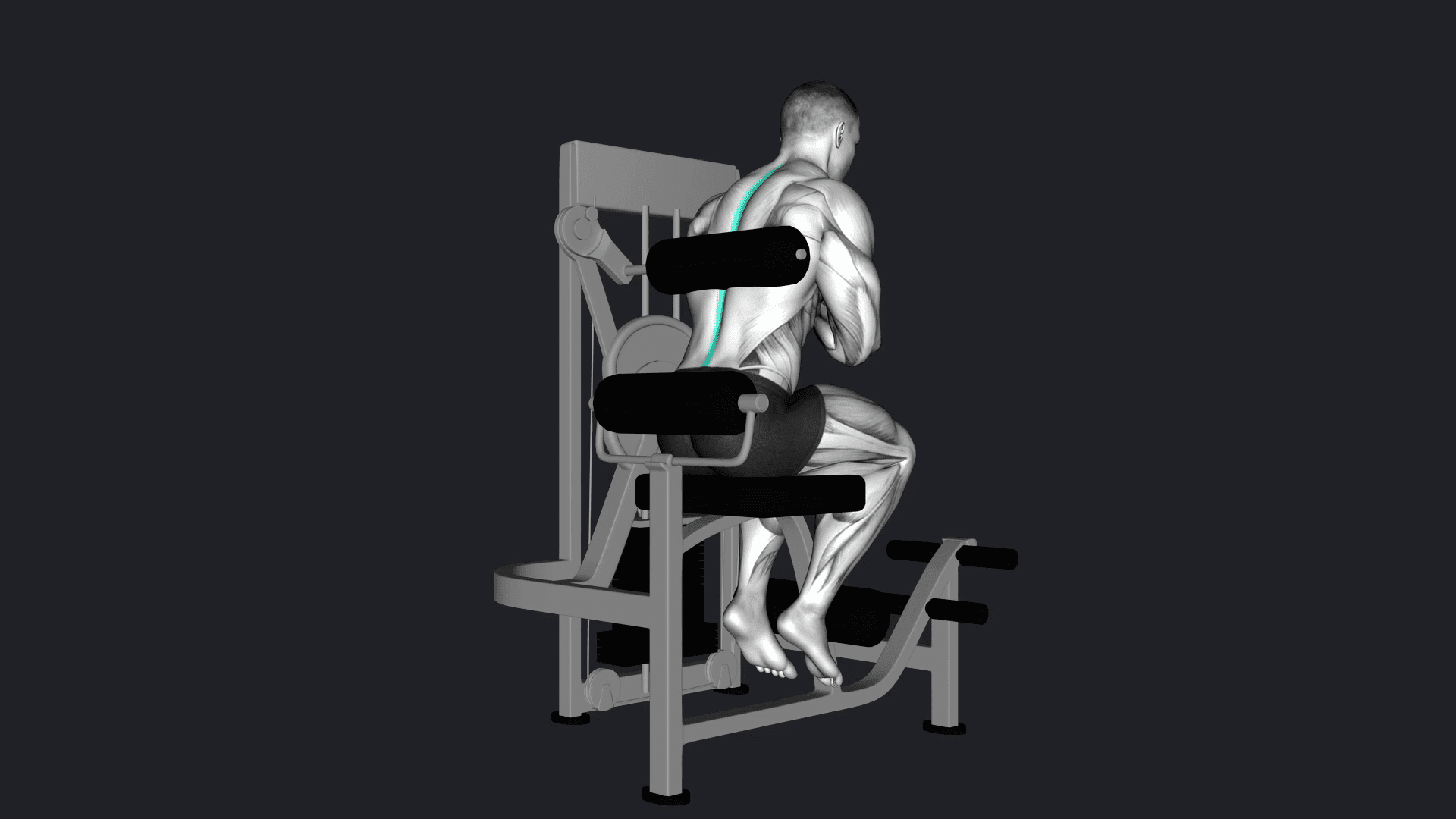 Back Extension Machine vs One Arm Lat Pulldown Machine