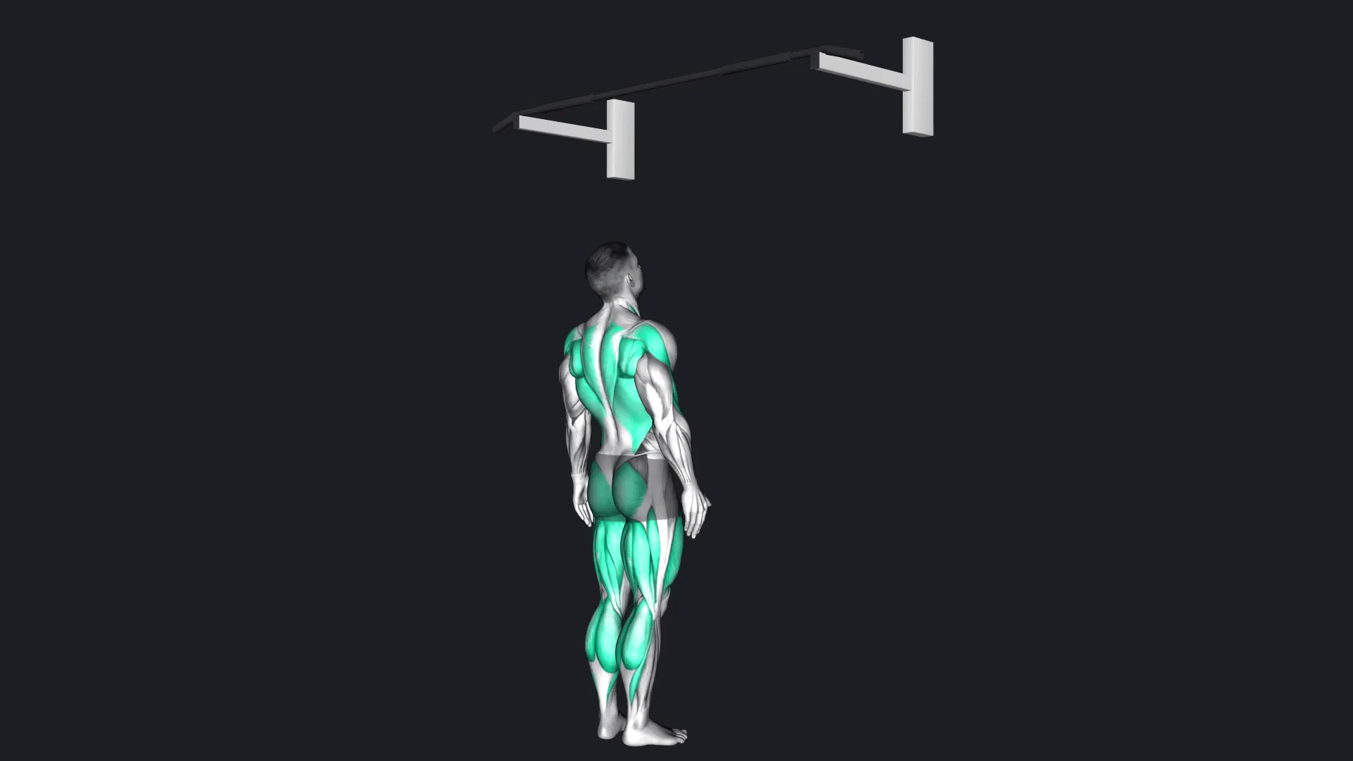 Jumping Pull Up how to do, Alternatives, gif & More