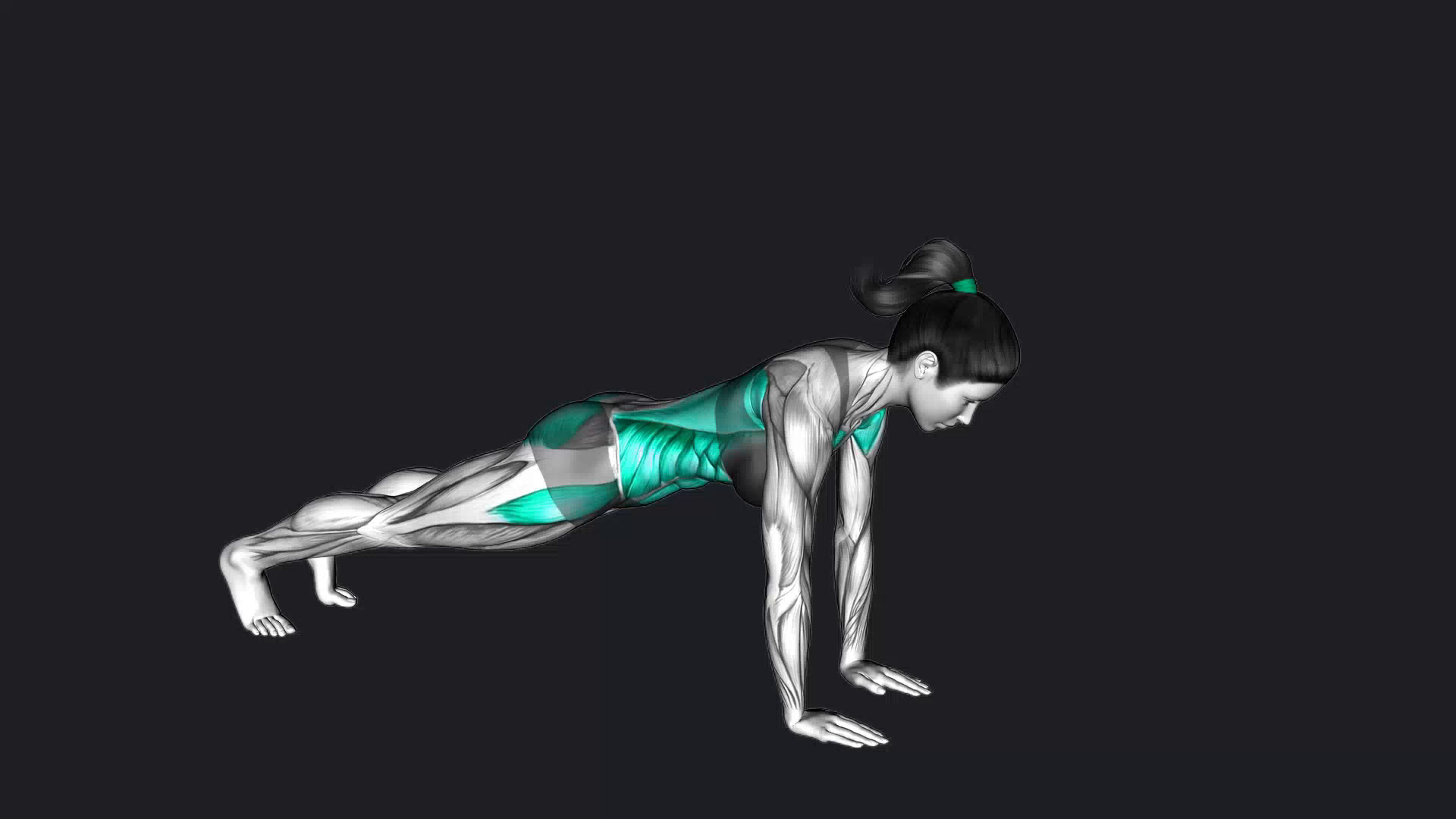 Plank Arm Lift how to do, Alternatives, gif & More