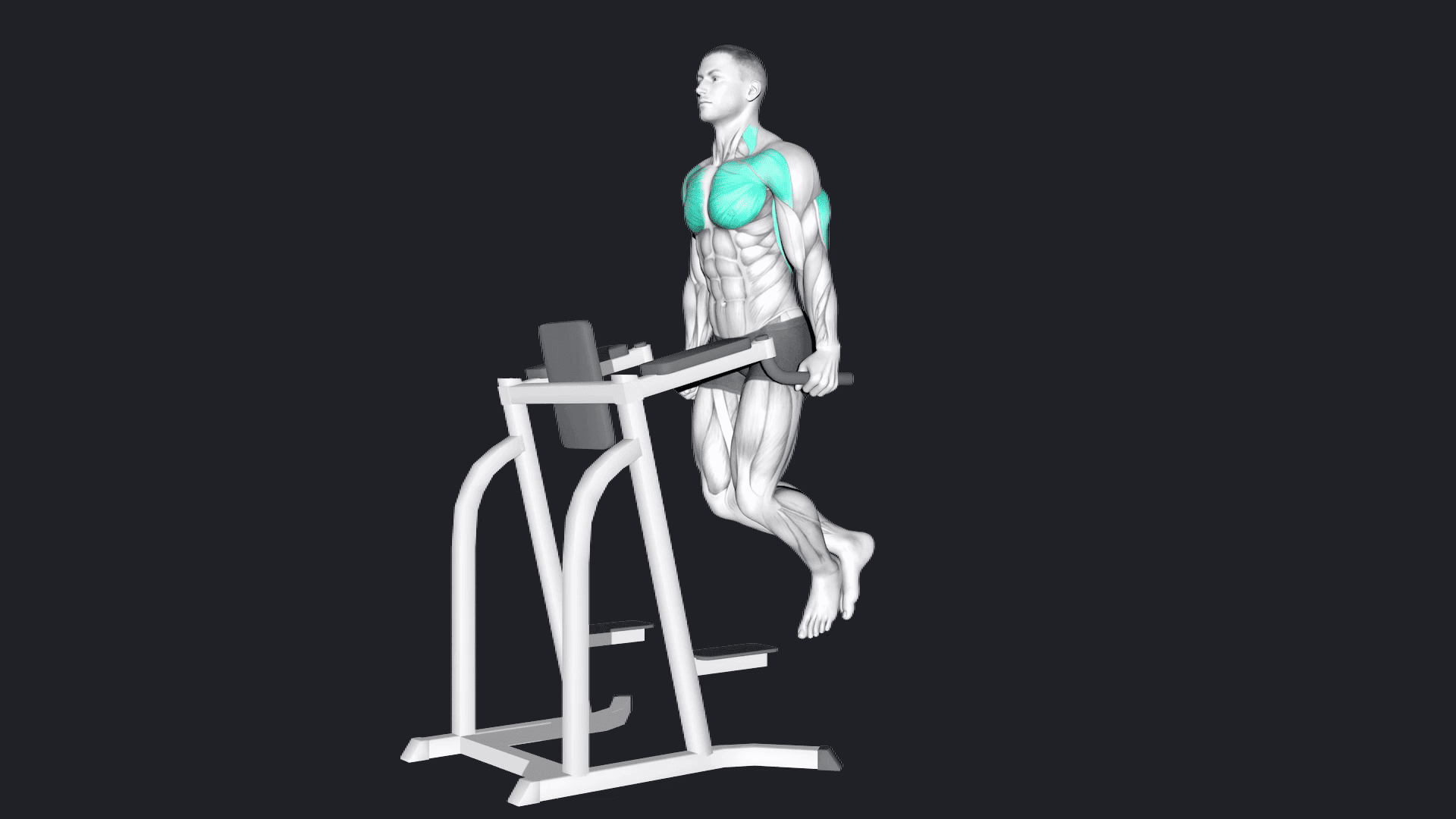 Dips vs Band Bench Press