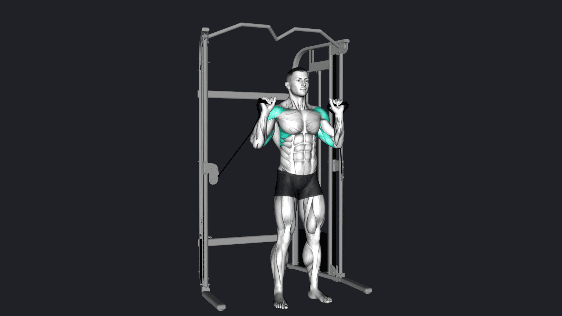 Cable Shoulder Press vs Seated Overhead Press