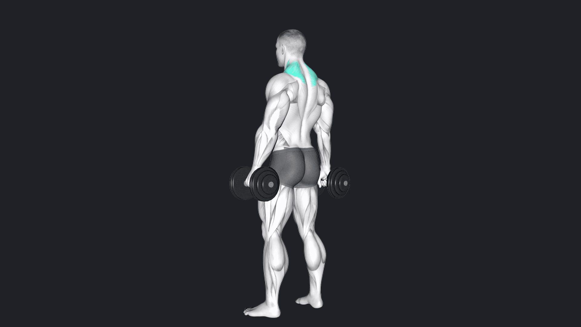 How Do You Arch Your Back