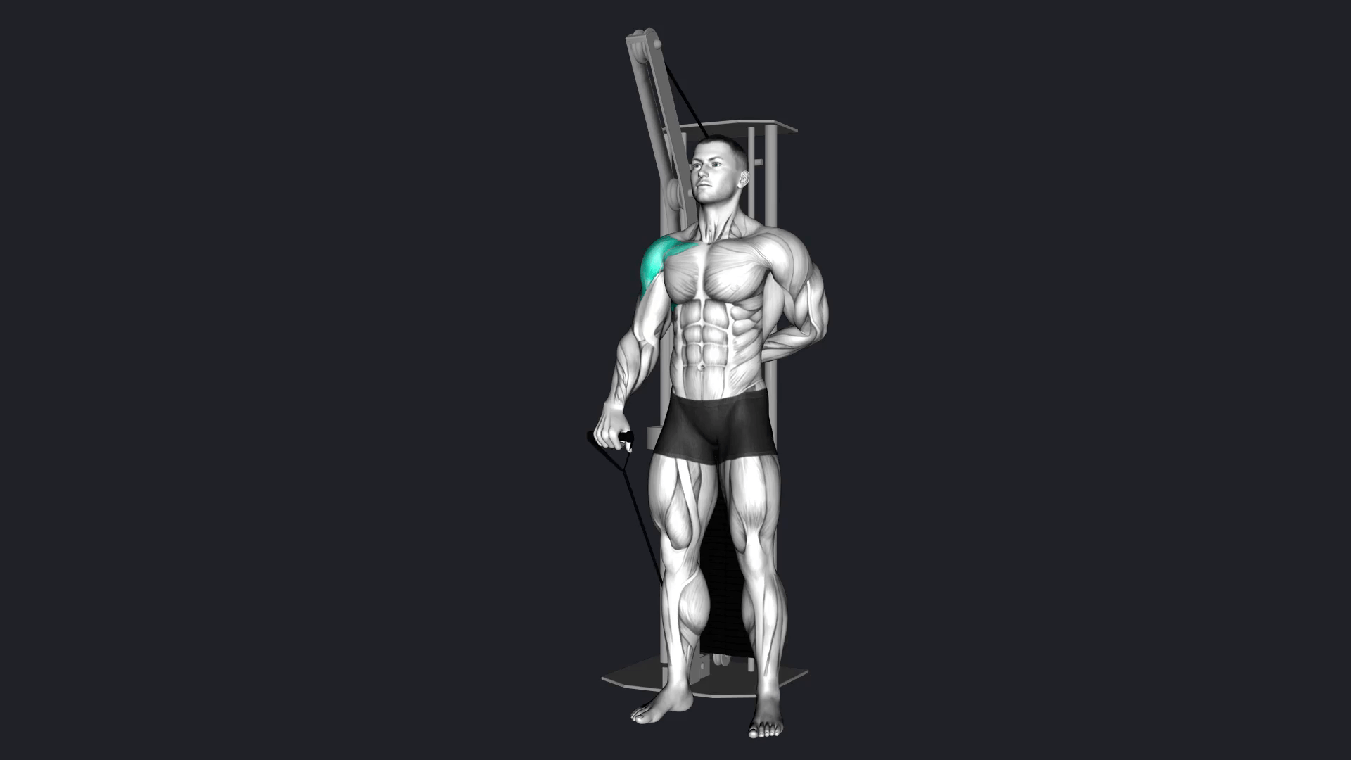 One Arm Cable Front Raise how to do, Alternatives, gif & More