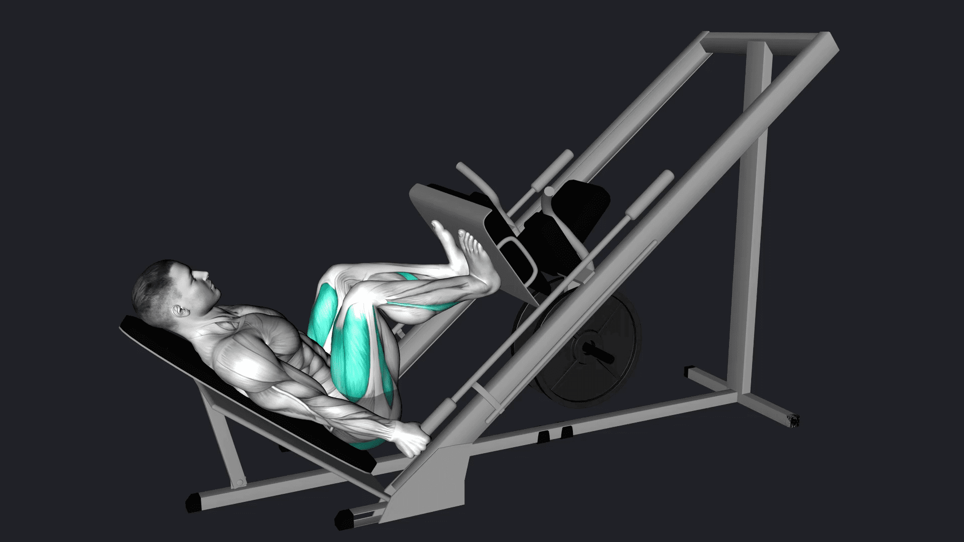 Leg press vs Goblet Squat