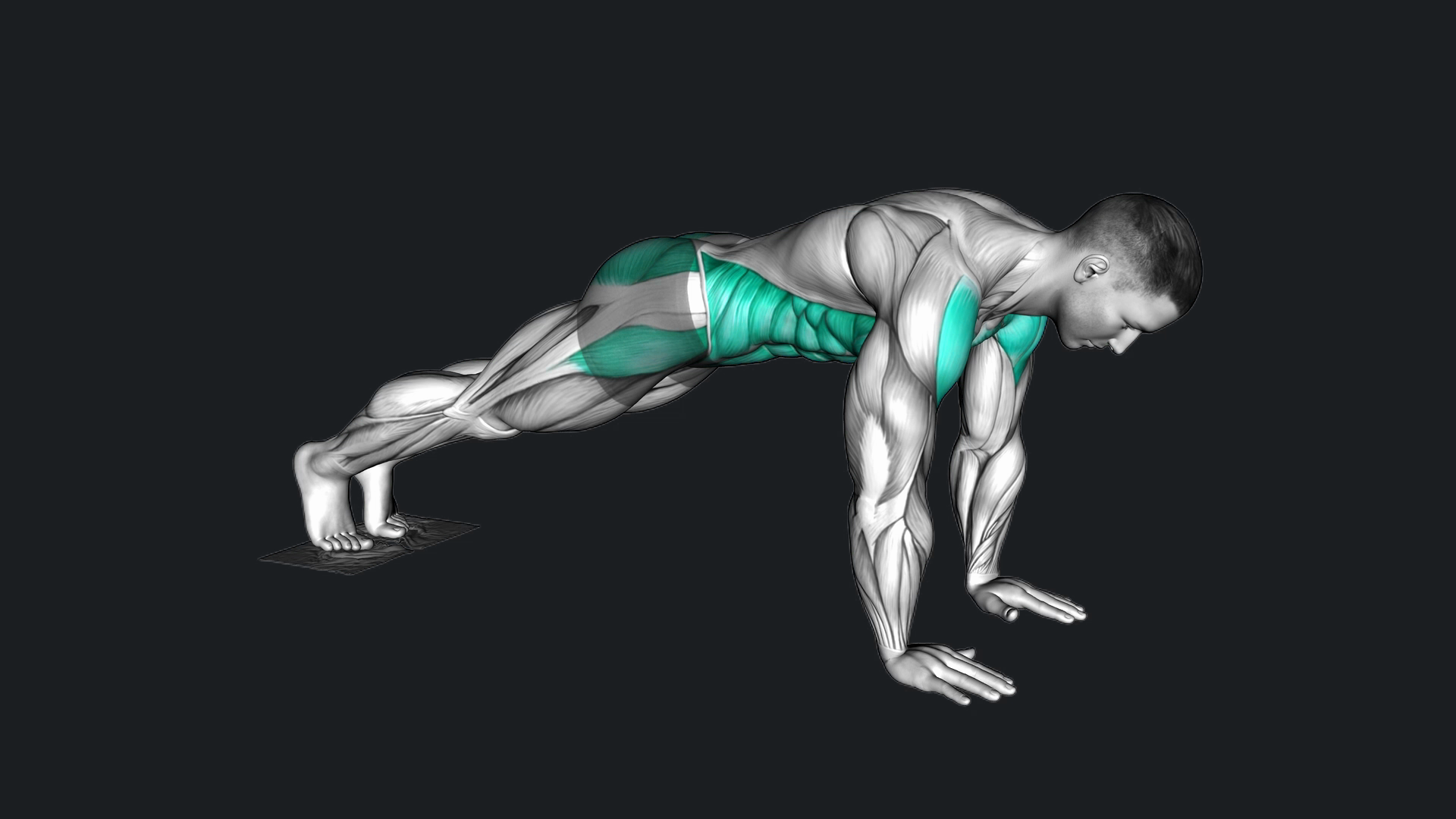 Plank Jack with Towel how to do, Alternatives, gif & More