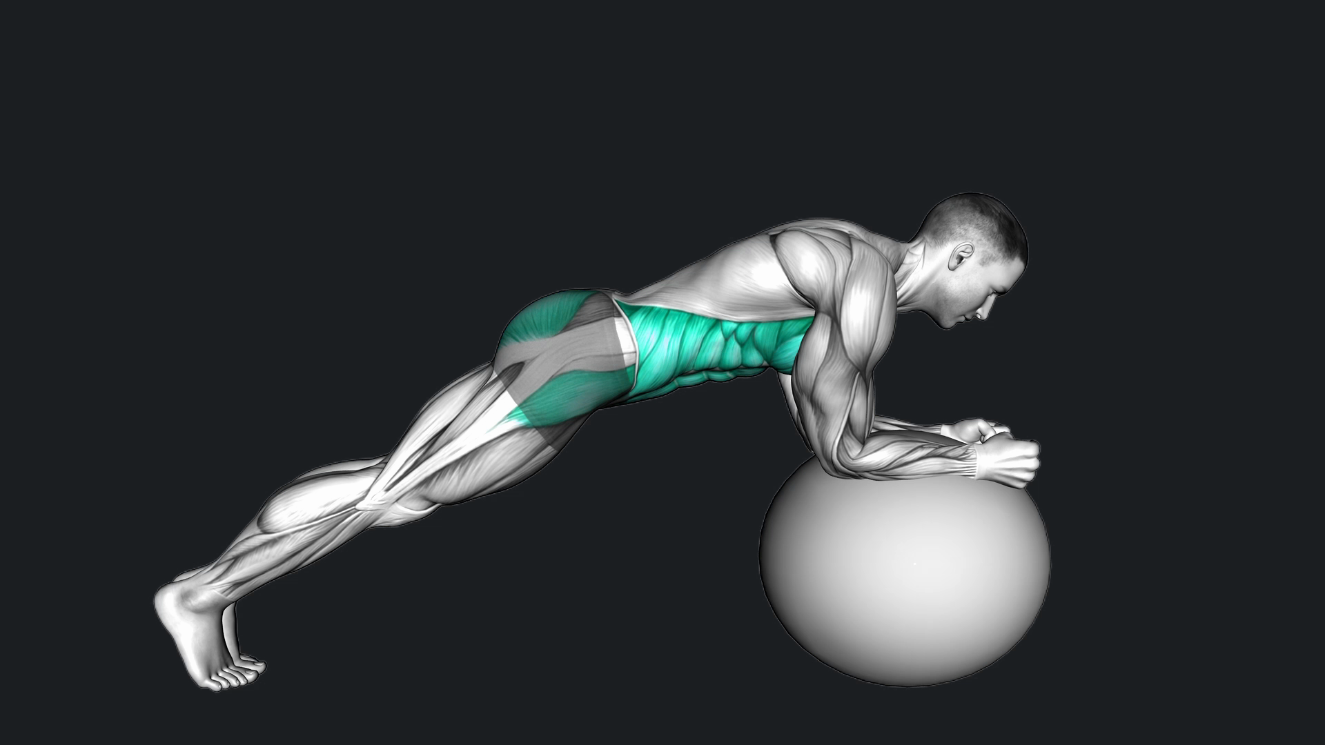 Exercise Ball Plank how to do, Alternatives & More