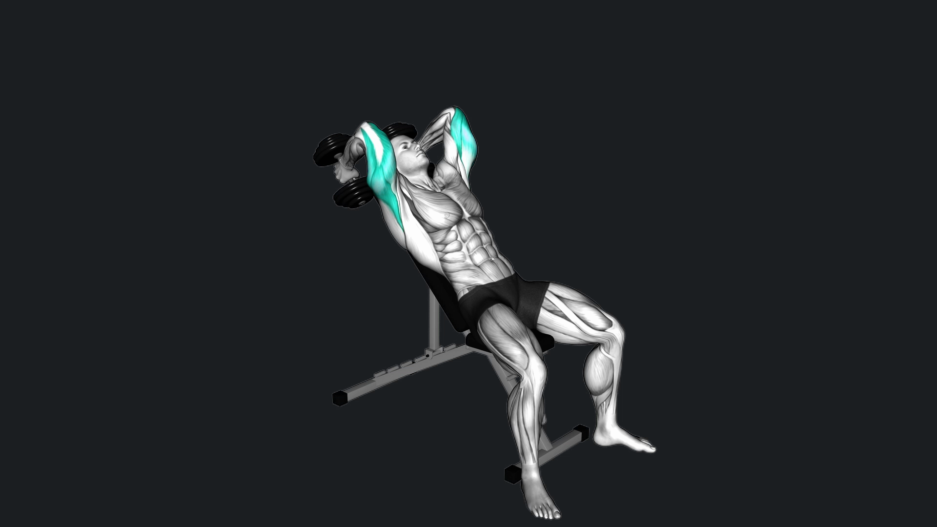 Dumbbell Incline Triceps Extension vs Dumbbell Kickback