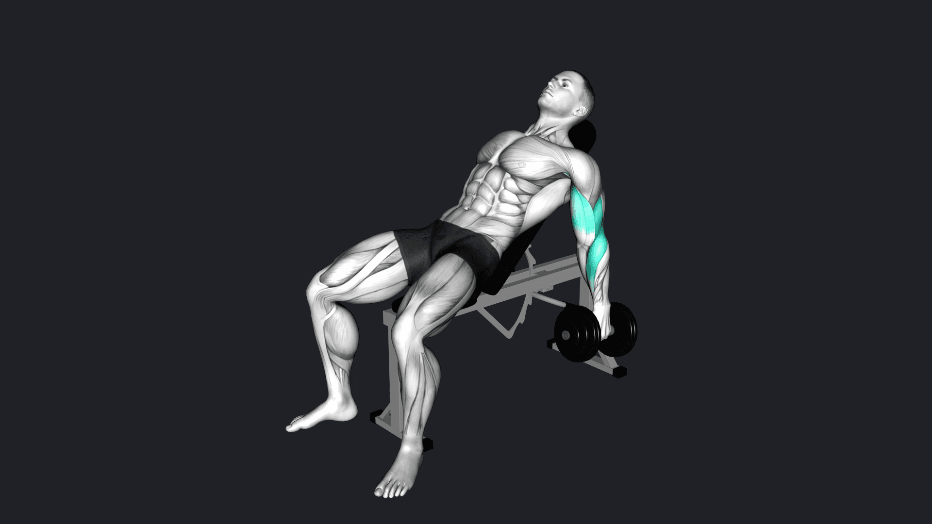 incline-dumbbell-hammer-curl-how-to-do-alternatives-gif-more
